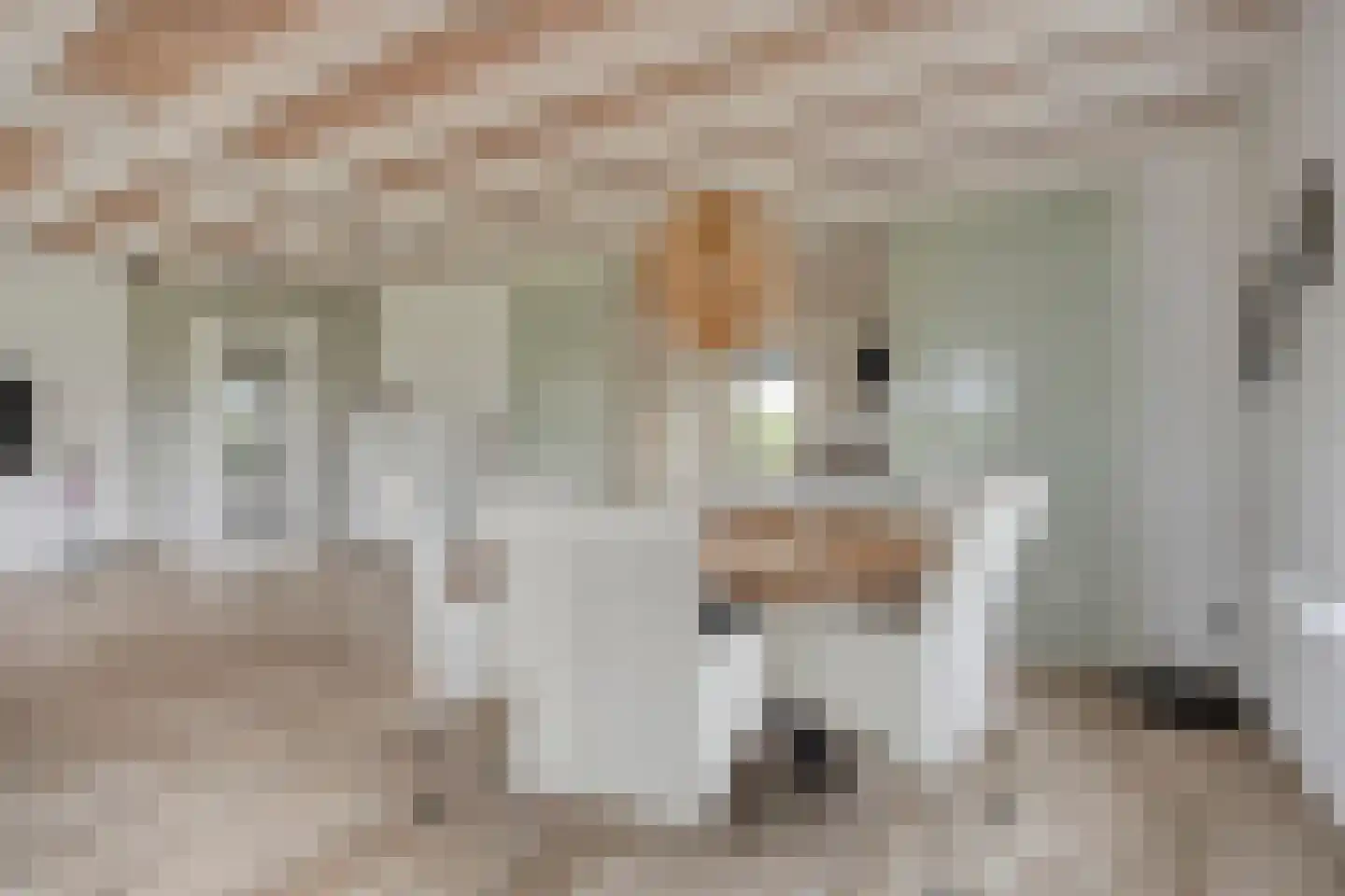 Wilfred Stillweg 11 a Hollandscheveld thumbnail 9