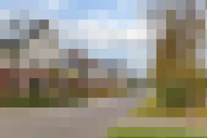 Wilg 11 Leek thumbnail 10