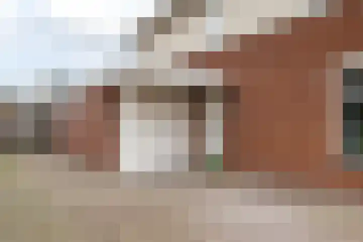 Wilg 11 Leek thumbnail 12