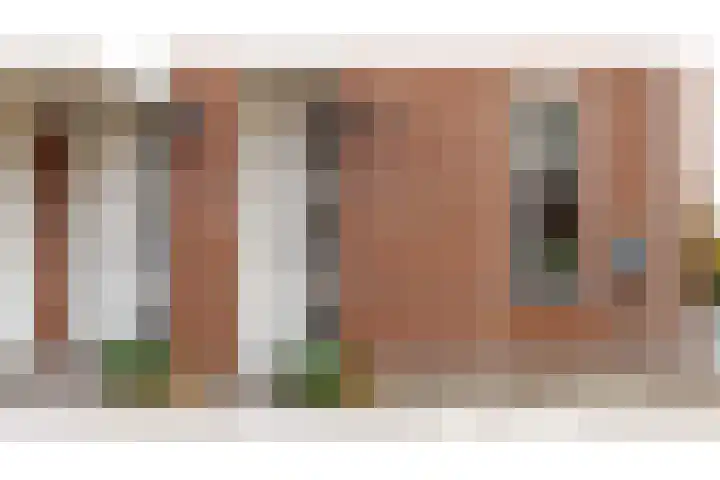 Wilg 11 Leek thumbnail 13