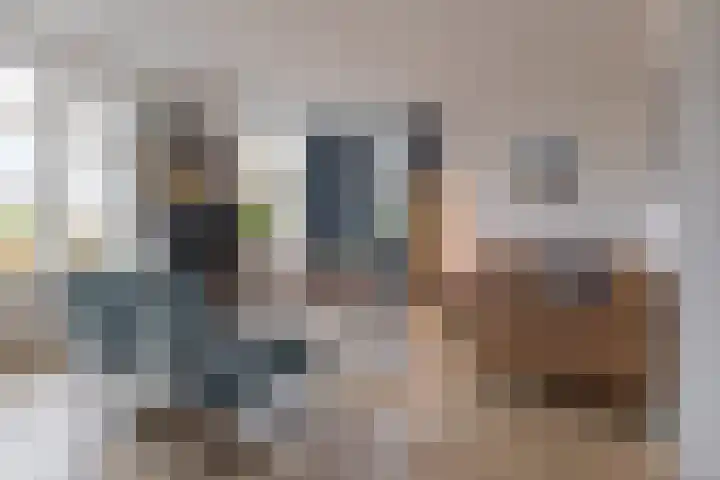 Wilg 11 Leek thumbnail 17