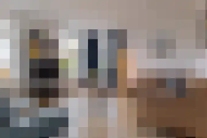 Wilg 11 Leek thumbnail 20