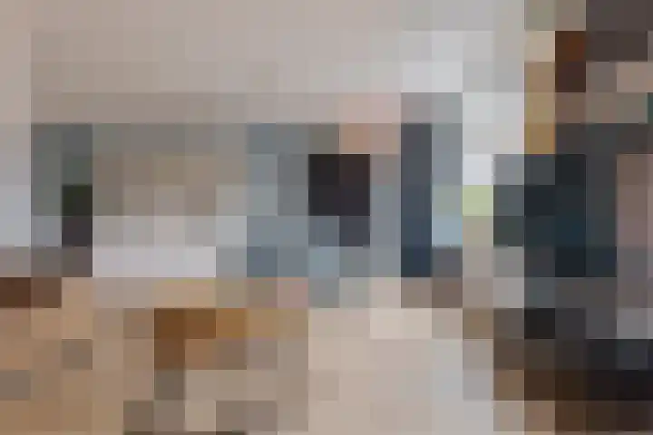 Wilg 11 Leek thumbnail 22