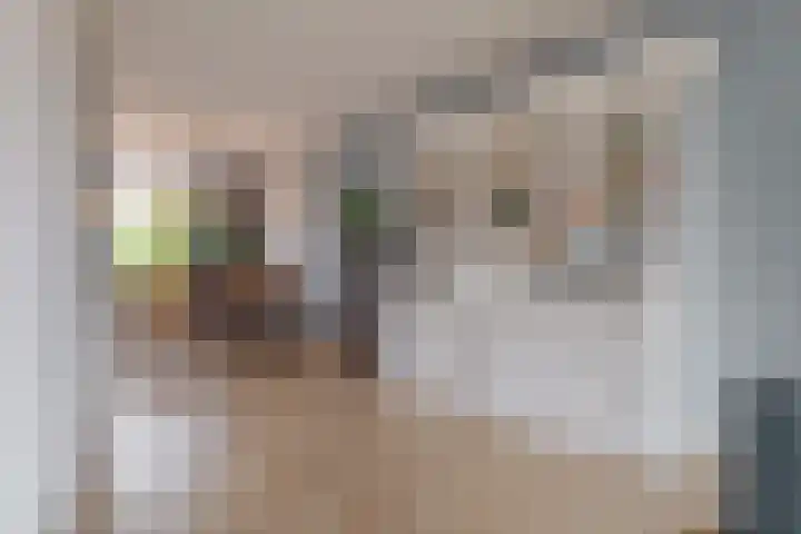 Wilg 11 Leek thumbnail 23