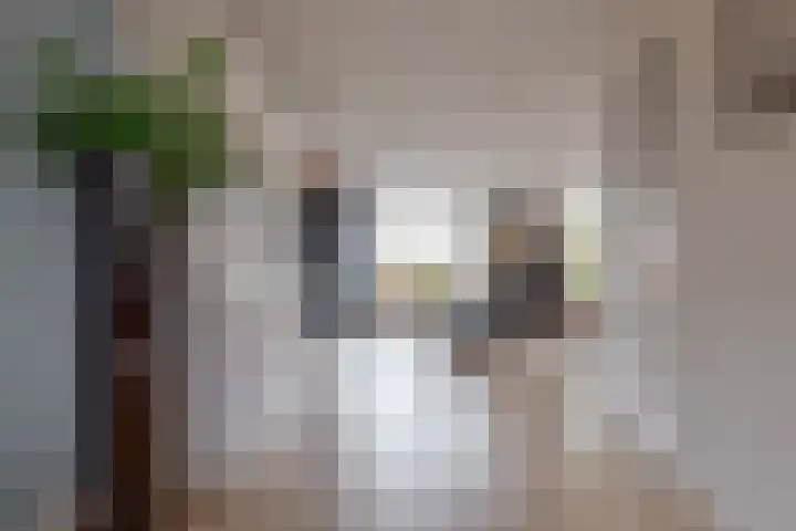 Wilg 11 Leek thumbnail 24