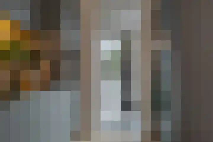 Wilg 11 Leek thumbnail 32