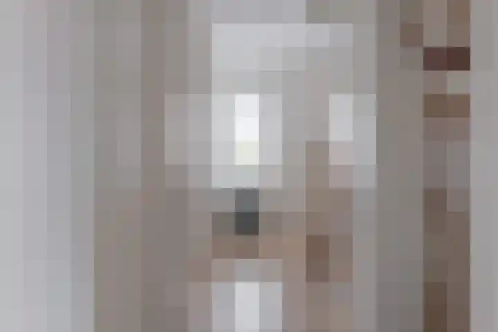 Wilg 11 Leek thumbnail 37
