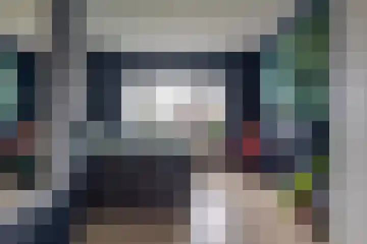 Wilg 11 Leek thumbnail 38