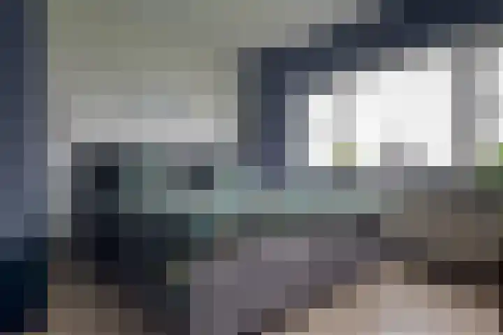 Wilg 11 Leek thumbnail 39