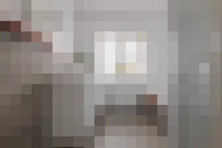 Wilg 11 Leek thumbnail 4