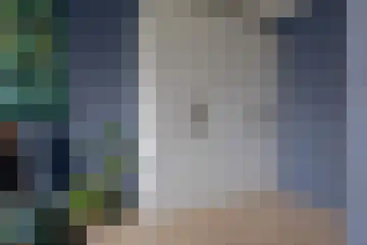 Wilg 11 Leek thumbnail 40