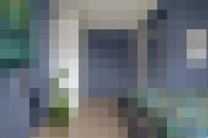 Wilg 11 Leek thumbnail 41