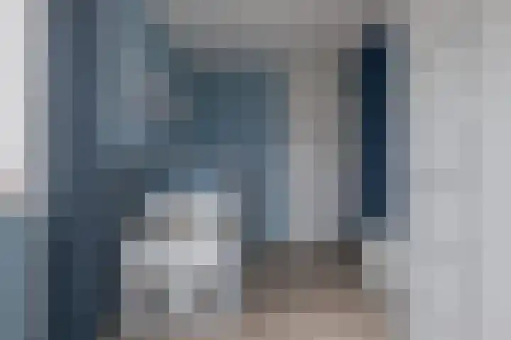 Wilg 11 Leek thumbnail 47