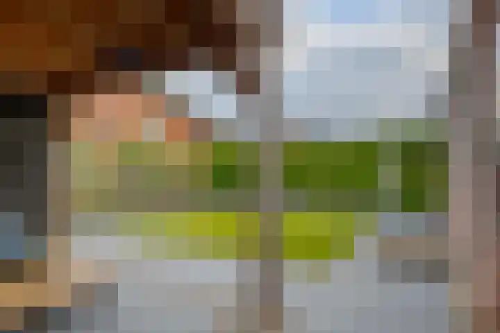 Wilg 11 Leek thumbnail 5
