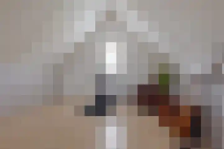 Wilg 11 Leek thumbnail 51