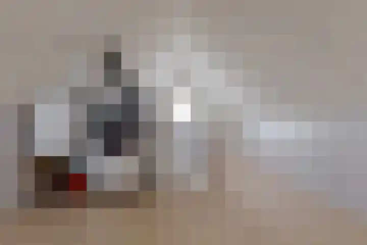 Wilg 11 Leek thumbnail 52
