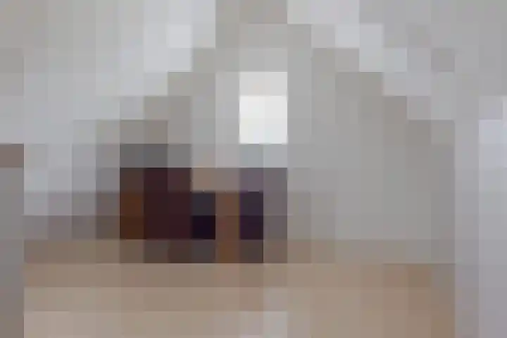 Wilg 11 Leek thumbnail 53