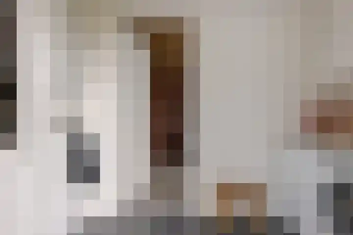 Wilg 11 Leek thumbnail 54