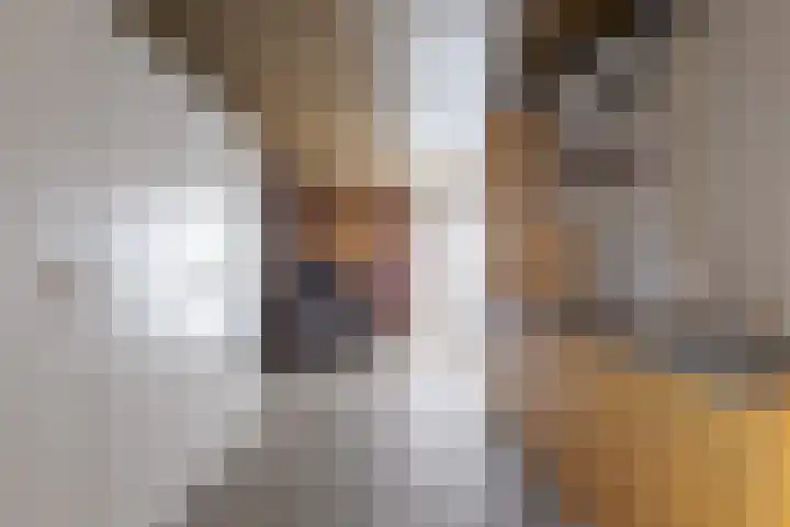 Wilg 11 Leek thumbnail 56