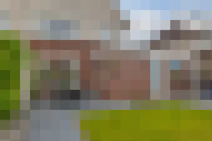 Wilg 11 Leek thumbnail 58