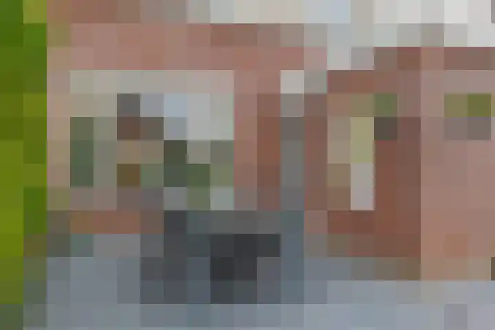 Wilg 11 Leek thumbnail 59