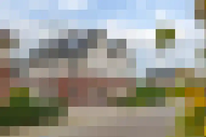 Wilg 11 Leek thumbnail 6