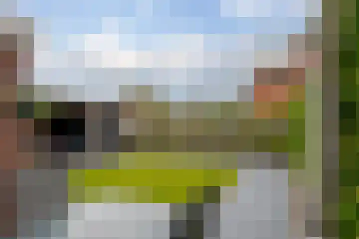 Wilg 11 Leek thumbnail 60