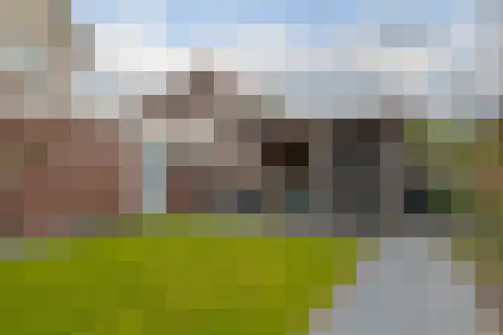 Wilg 11 Leek thumbnail 63