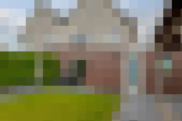 Wilg 11 Leek thumbnail 64