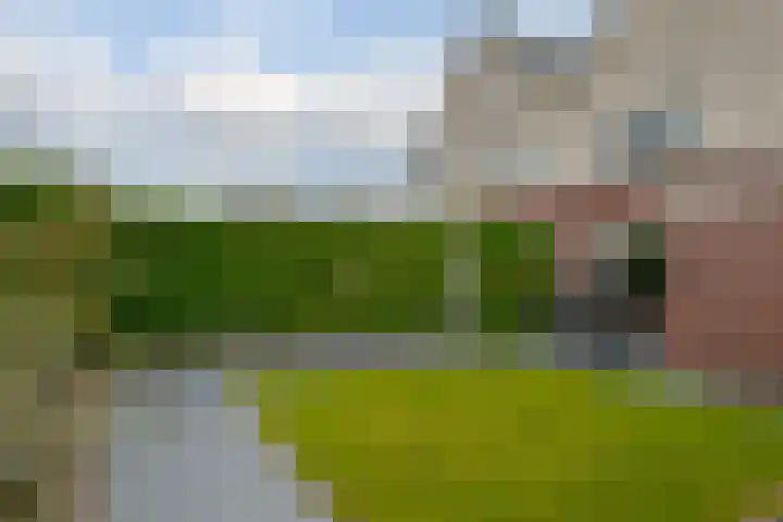 Wilg 11 Leek thumbnail 65