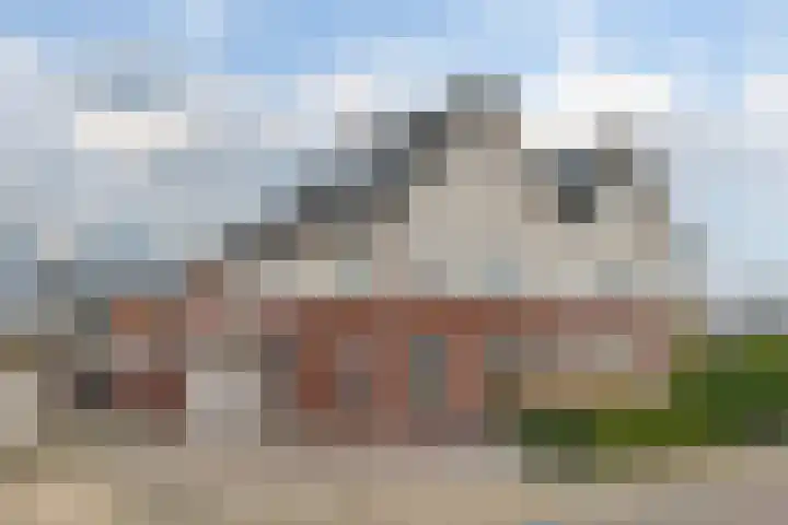 Wilg 11 Leek thumbnail 7