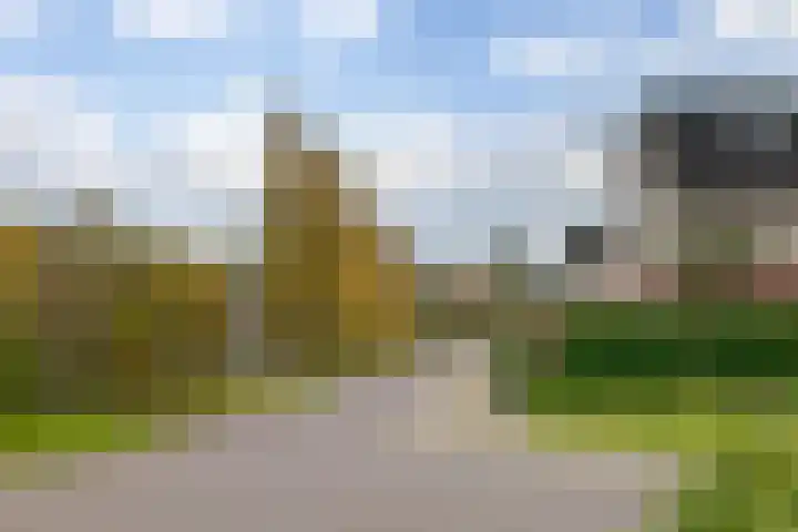 Wilg 11 Leek thumbnail 9