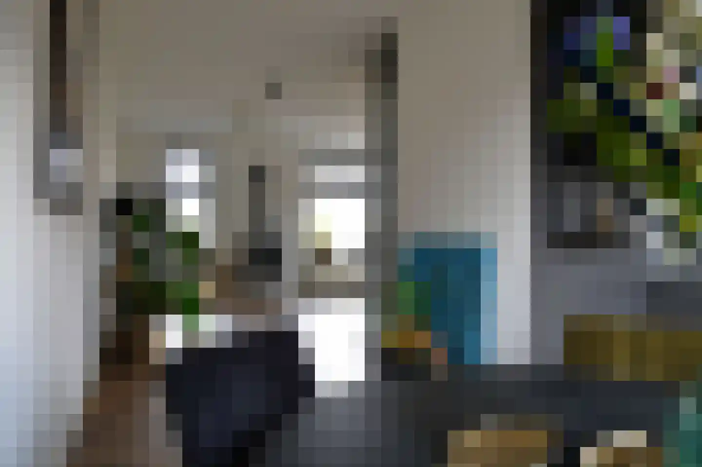 Wilg 2 Leek thumbnail 10