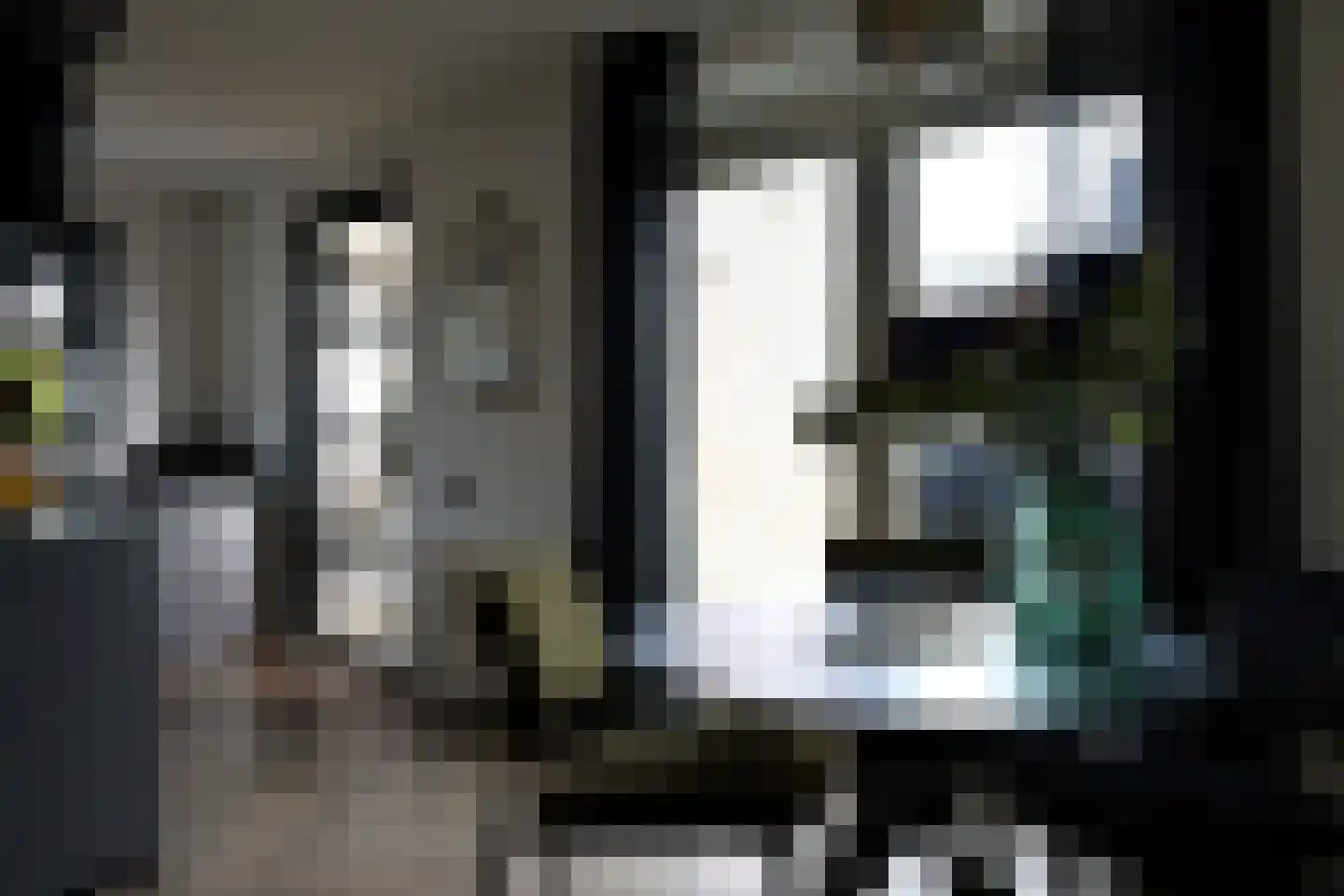Wilg 2 Leek thumbnail 12