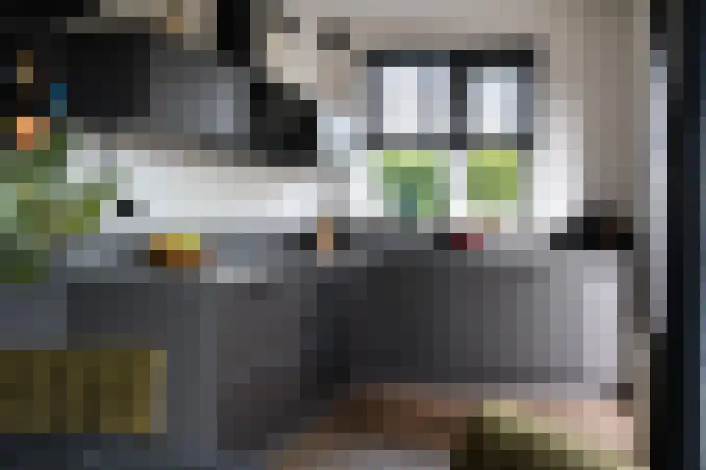 Wilg 2 Leek thumbnail 13