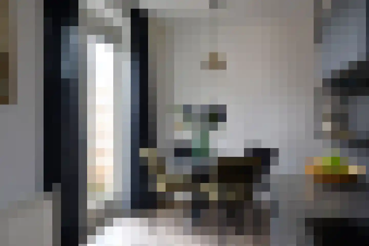 Wilg 2 Leek thumbnail 14