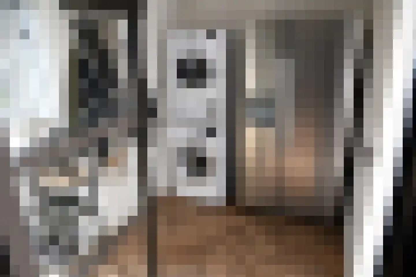 Wilg 2 Leek thumbnail 15