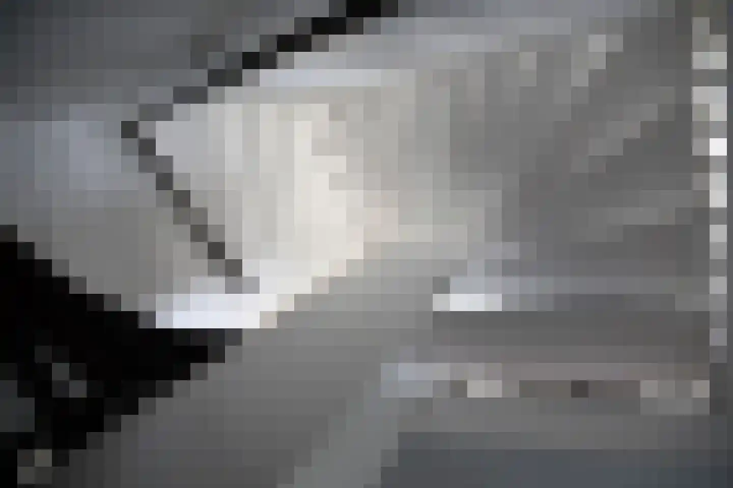 Wilg 2 Leek thumbnail 16