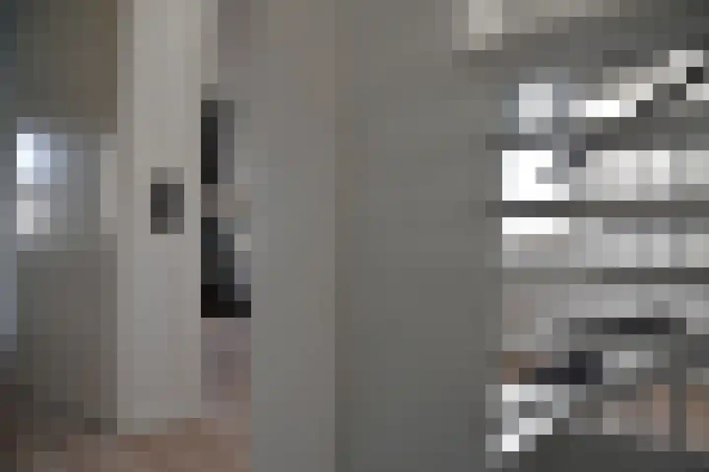 Wilg 2 Leek thumbnail 17