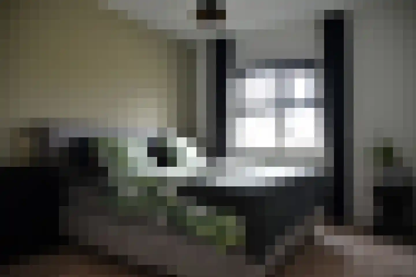 Wilg 2 Leek thumbnail 18
