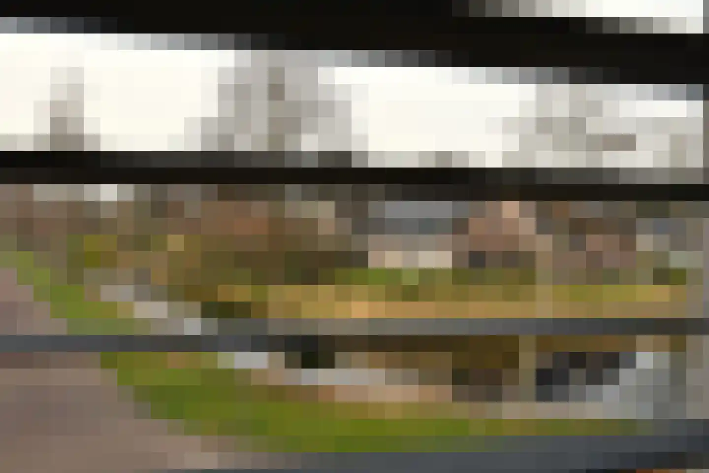 Wilg 2 Leek thumbnail 19