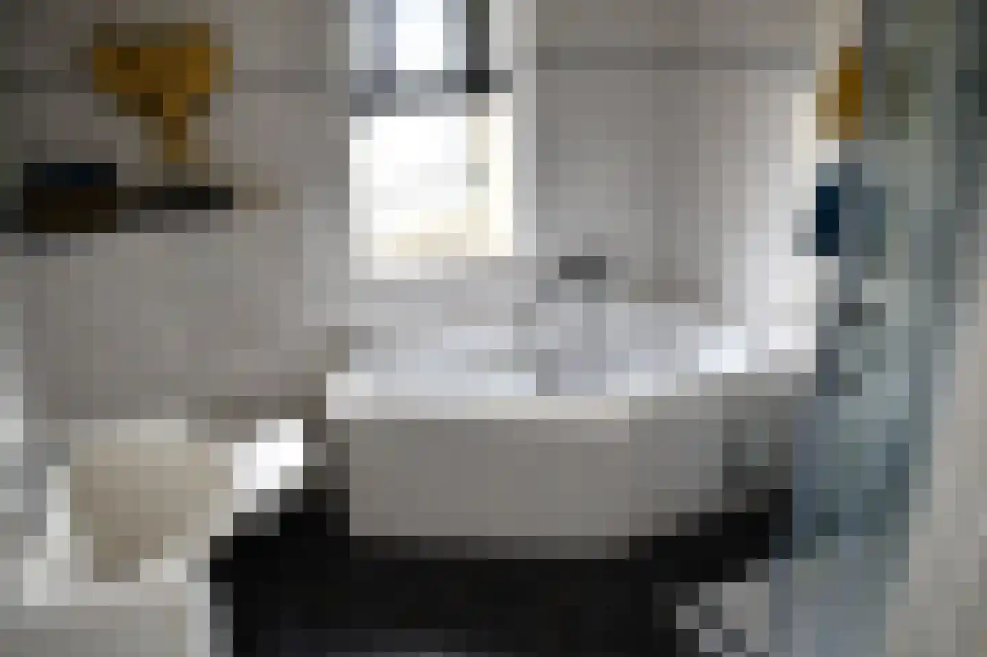 Wilg 2 Leek thumbnail 24