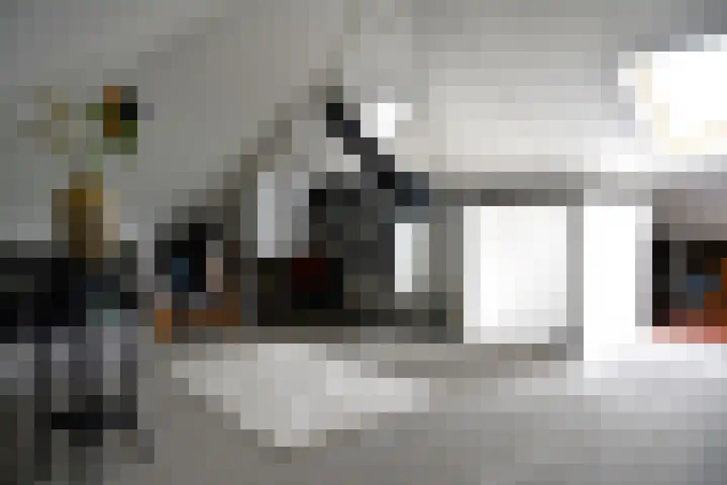 Wilg 2 Leek thumbnail 26