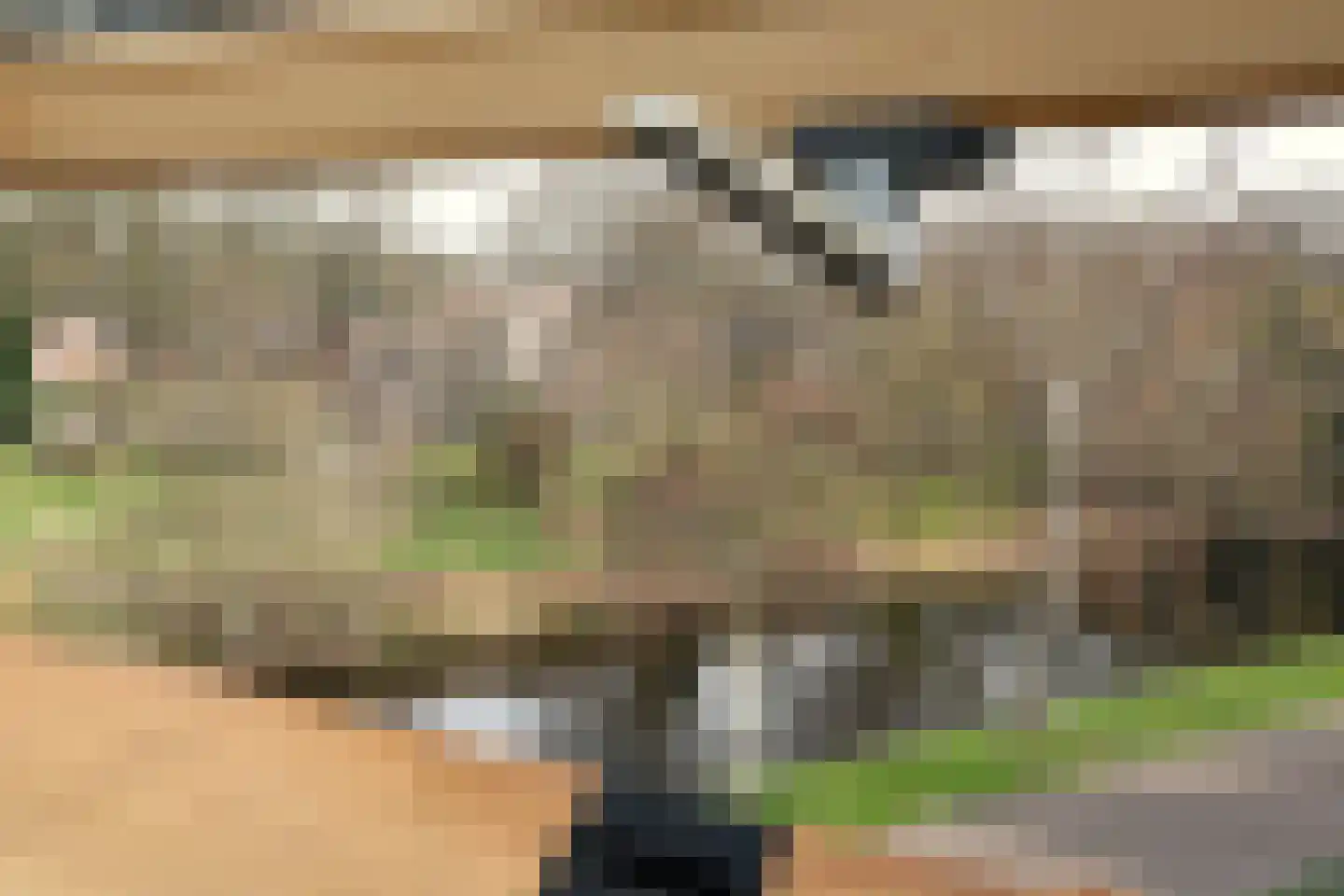 Wilg 2 Leek thumbnail 27