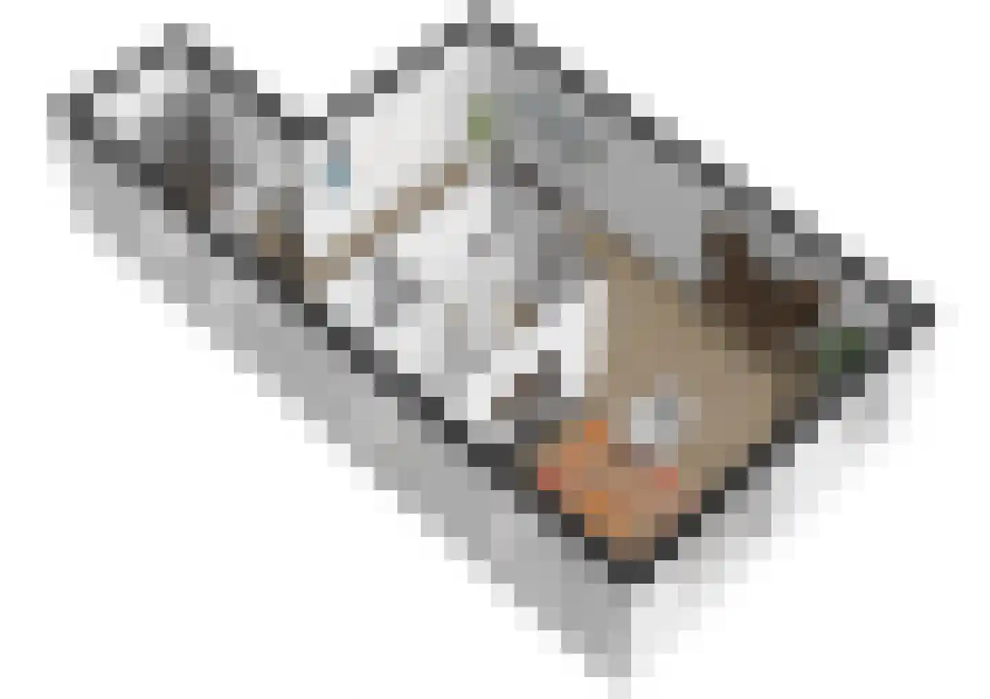 Wilg 2 Leek thumbnail 31