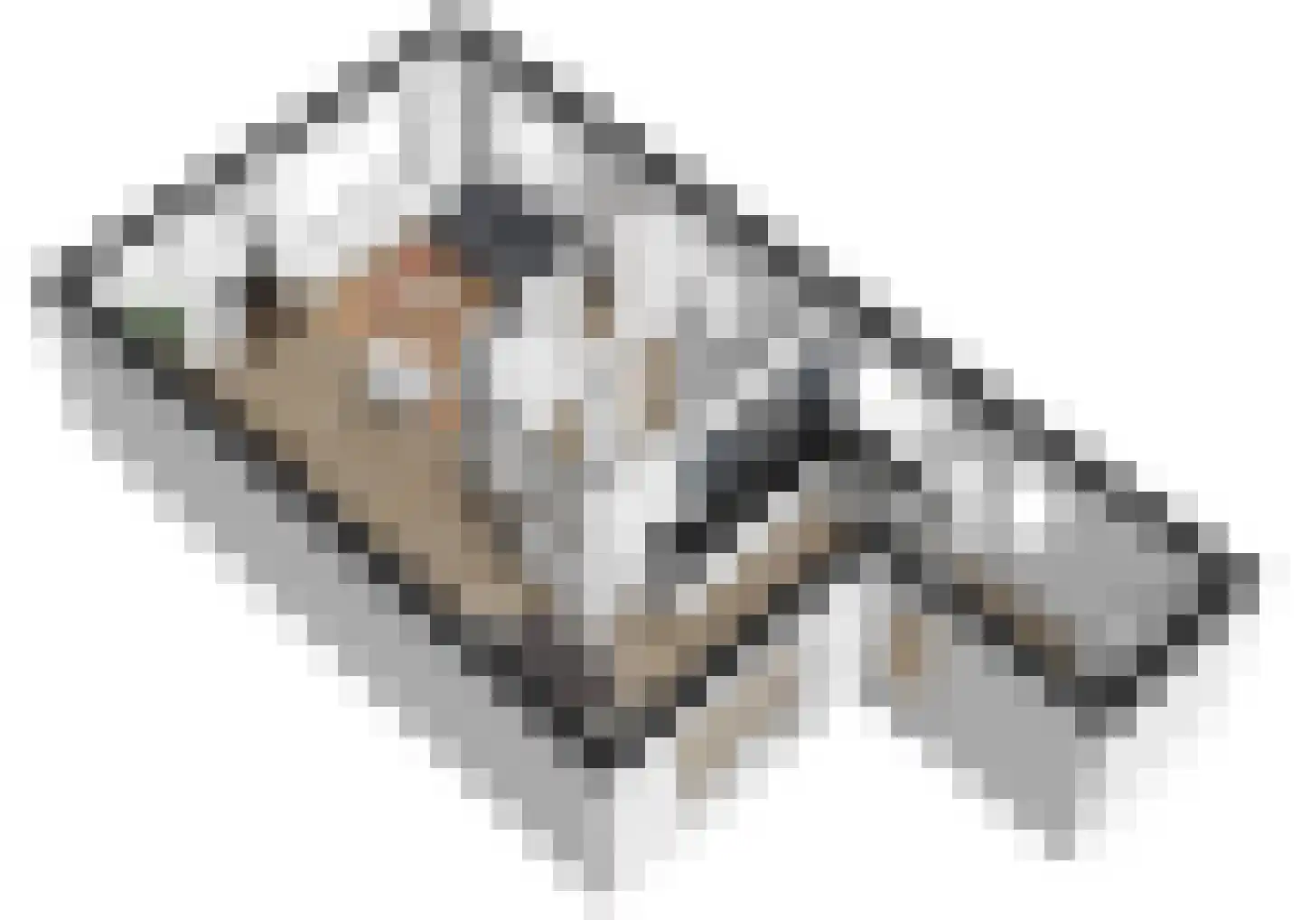 Wilg 2 Leek thumbnail 32