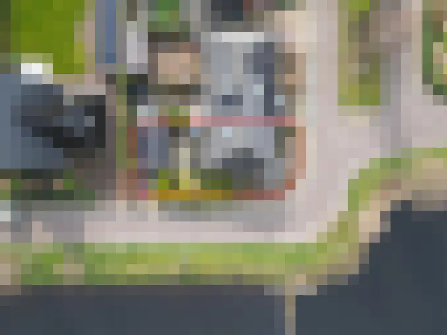 Wilg 2 Leek thumbnail 35