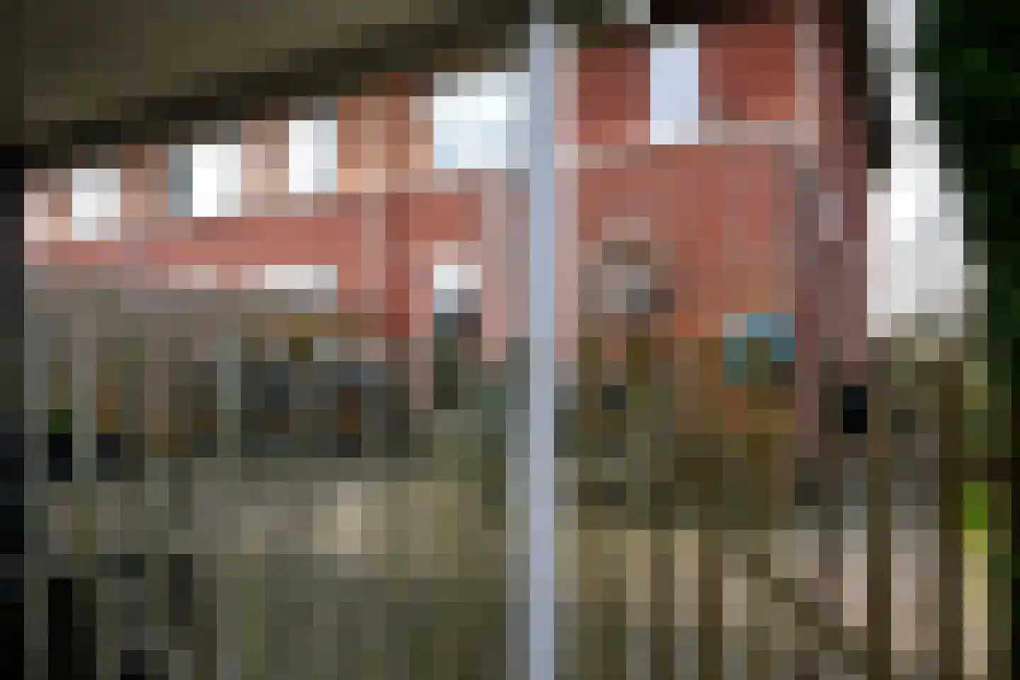Wilg 2 Leek thumbnail 37