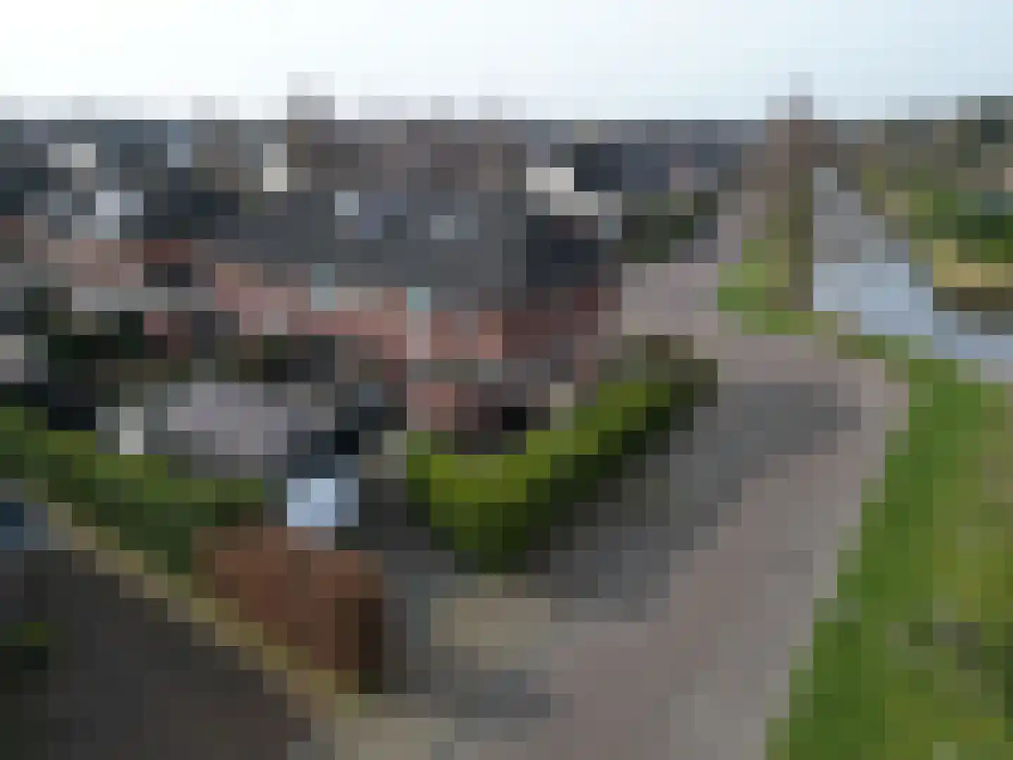 Wilg 2 Leek thumbnail 4