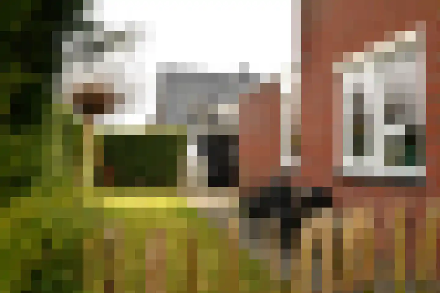Wilg 2 Leek thumbnail 40